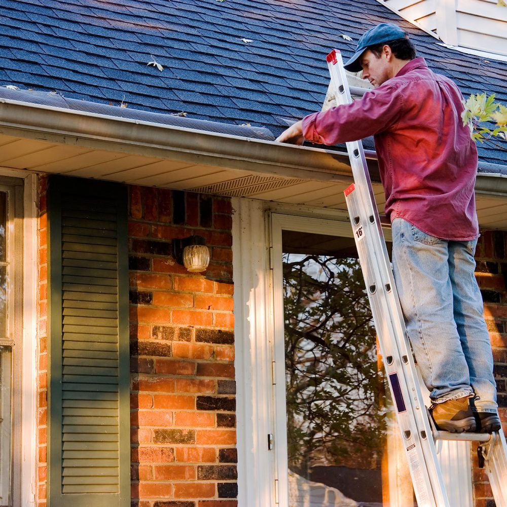 Gutter Cleaning Service